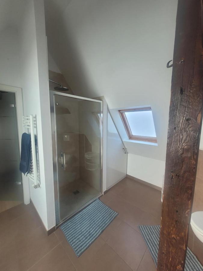 Studio 50M2 Au Bord De L'Eau A Straßburg Exterior foto