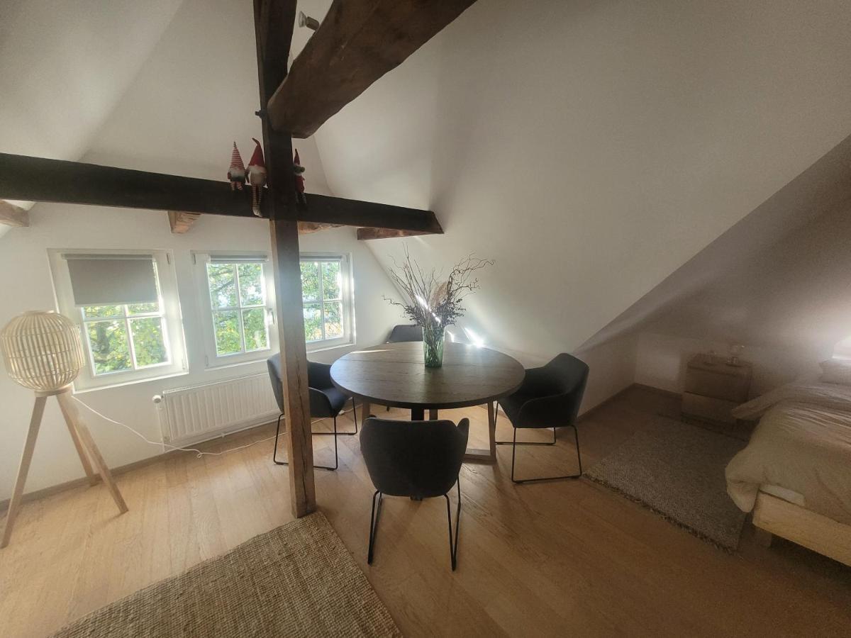 Studio 50M2 Au Bord De L'Eau A Straßburg Exterior foto