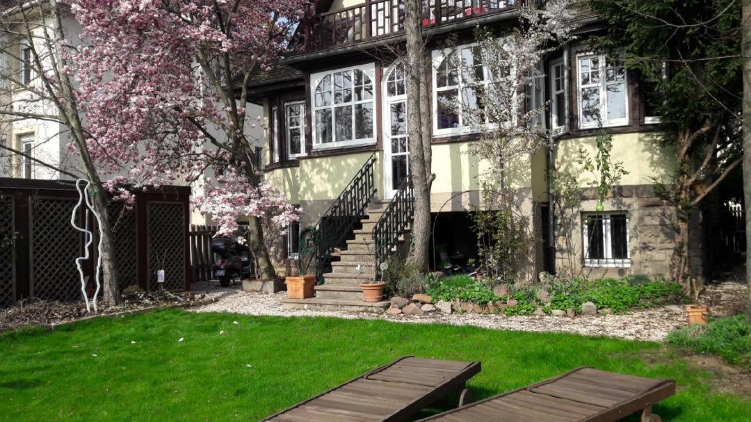 Studio 50M2 Au Bord De L'Eau A Straßburg Exterior foto