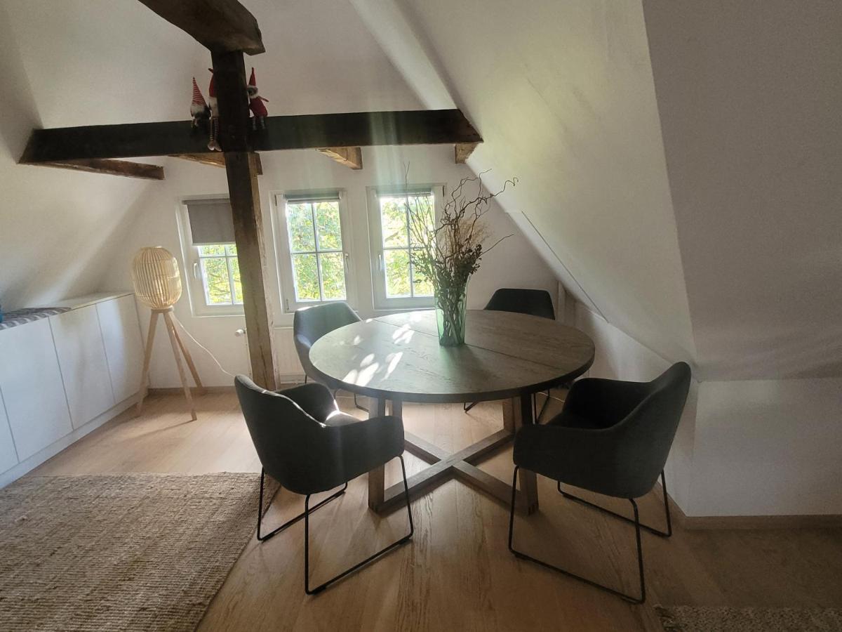 Studio 50M2 Au Bord De L'Eau A Straßburg Exterior foto
