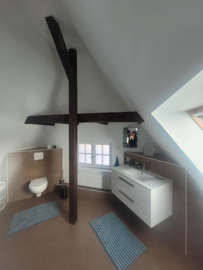 Studio 50M2 Au Bord De L'Eau A Straßburg Exterior foto